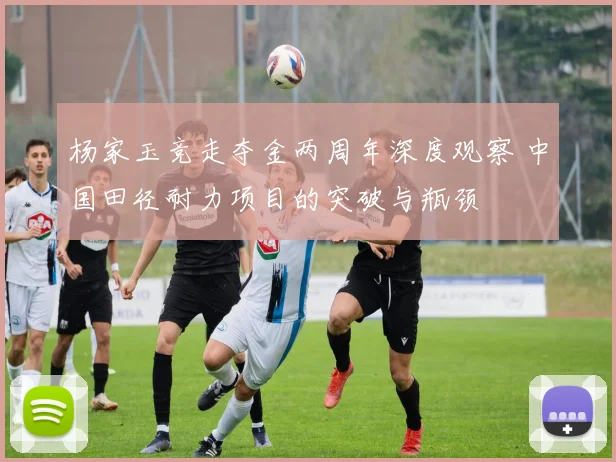 杨家玉竞走夺金两周年深度观察 中国田径耐力项目的突破与瓶颈