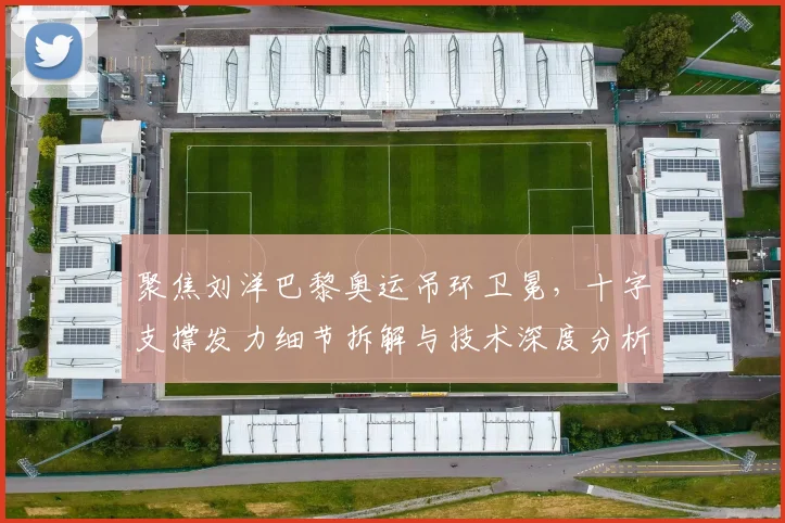 聚焦刘洋巴黎奥运吊环卫冕，十字支撑发力细节拆解与技术深度分析