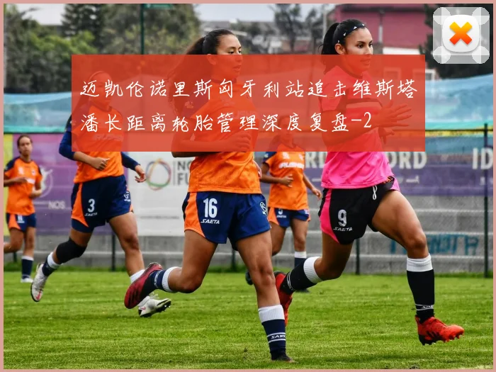 迈凯伦诺里斯匈牙利站追击维斯塔潘长距离轮胎管理深度复盘
