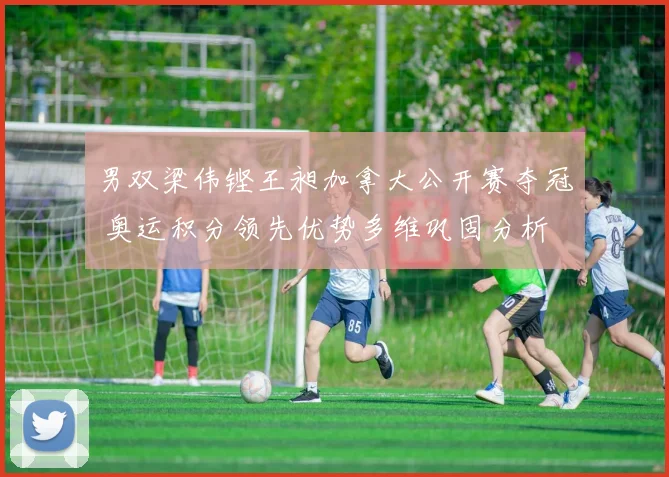 男双梁伟铿王昶加拿大公开赛夺冠 奥运积分领先优势多维巩固分析